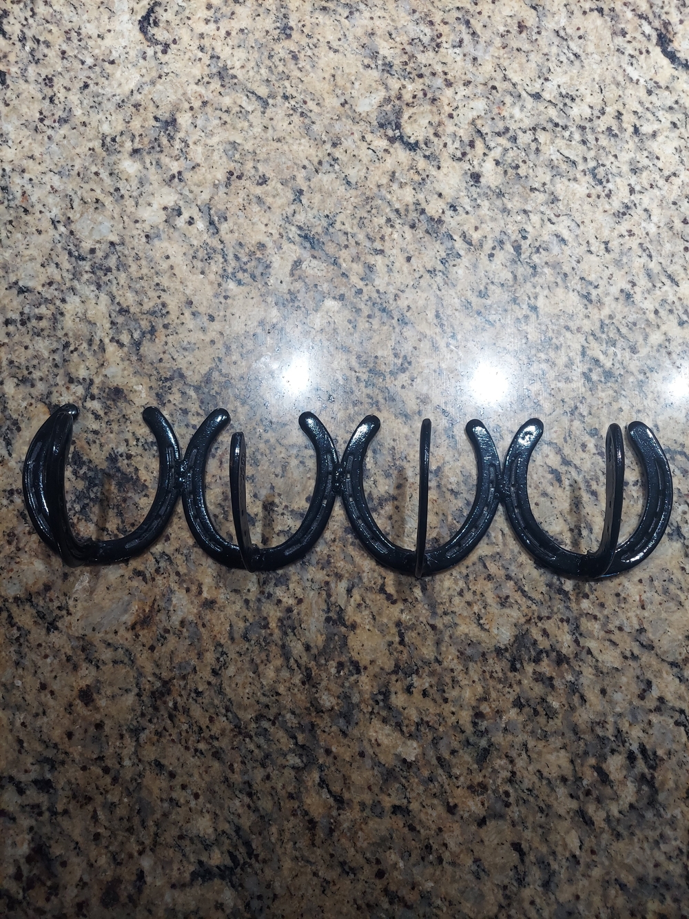 Classic Black Horseshoe Coat Rack